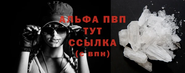 спайс Баксан