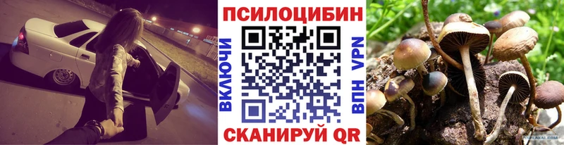 Галлюциногенные грибы Cubensis  как найти закладки  Городец 