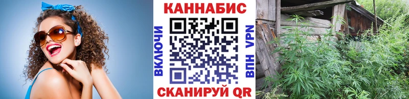 Бошки Шишки гибрид  Городец 